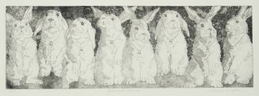 Original Figurative Animal Printmaking by Susan F Schafer