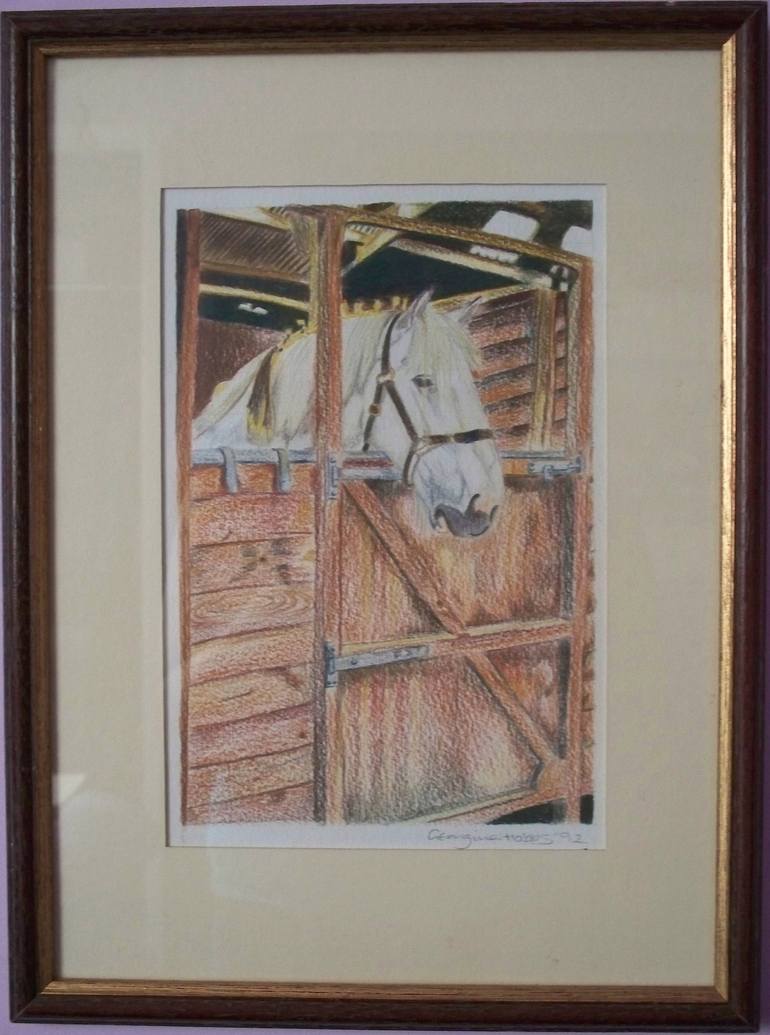 Original Horse Drawing by Georgina Talfana