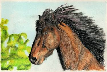 Horse with flowing mane thumb