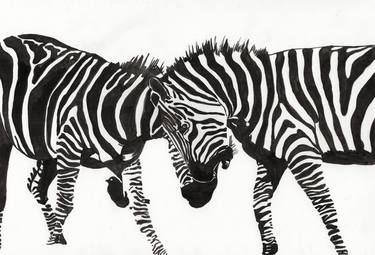 Original Realism Animal Drawings by Georgina Talfana