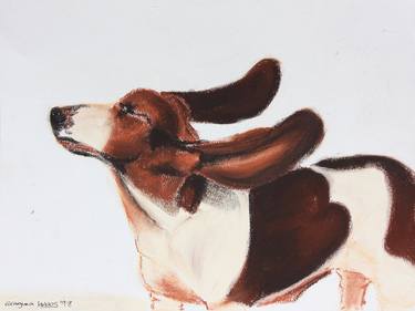 Beagle dog with flying ears thumb