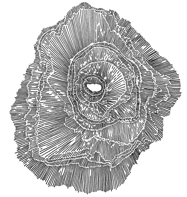 Unpredictable Phenomena - Print