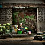 Collection 100 Curators Collection