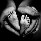 Collection 100 Curators Collection