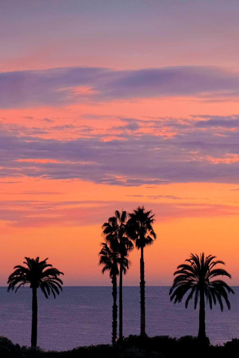 Palm Trees, California Beach Pastel, Modern Tropical Palm Trees ...