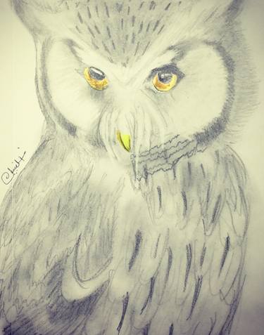 Golden eye hunter Owl thumb