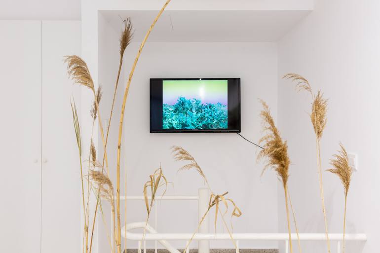 Original Conceptual Nature Photography by Eleni Phyla