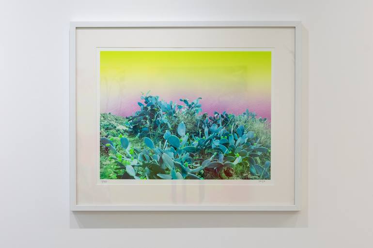 Original Conceptual Nature Photography by Eleni Phyla