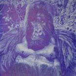 Collection BIC Art