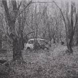Dead Mini, Kirdford by Chris  Shaw Hughes