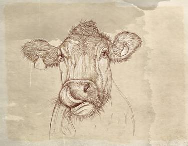 Print of Cows Mixed Media by Silvia Gaudenzi
