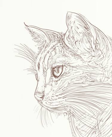 Print of Cats Drawings by Silvia Gaudenzi