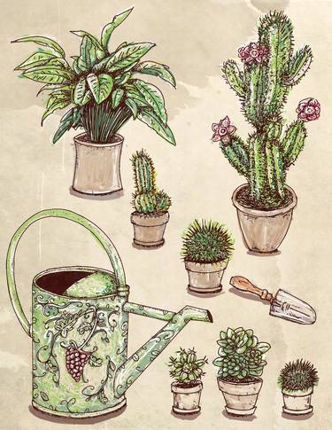 Print of Botanic Mixed Media by Silvia Gaudenzi