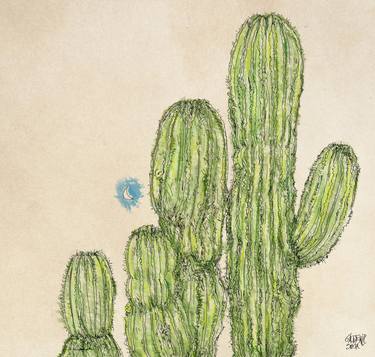 kaktus thumb