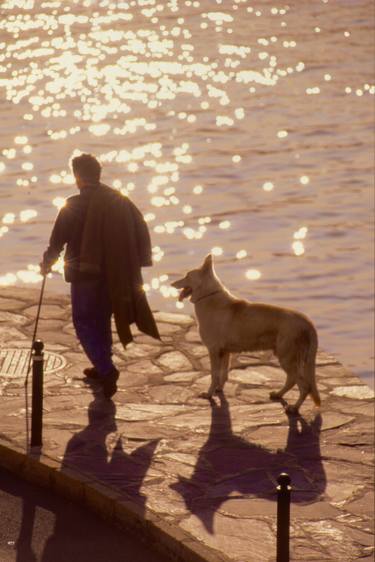 Print of Portraiture Dogs Photography by Marco Di Francisca