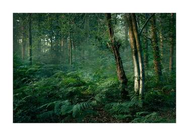 Original Landscape Photography by Clive Shalice