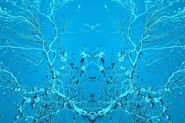 Print of Abstract Expressionism Tree Photography by Derik Bradshaw