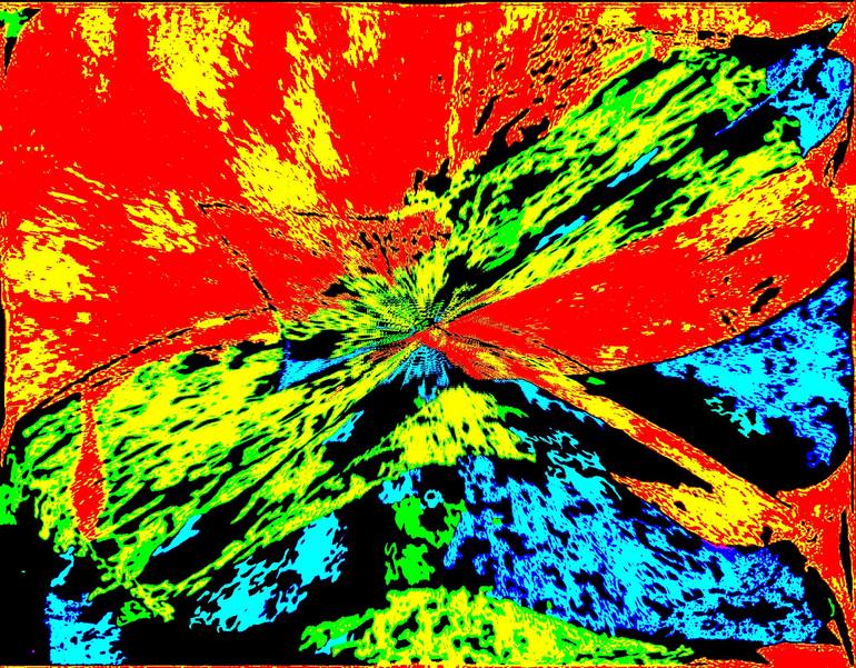 Original Abstract Expressionism Abstract Photography by Ilija Males