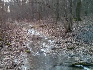 Frozen stream in winter forest thumb