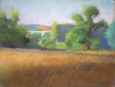 Original Impressionism Landscape Drawings by Larry DAmico