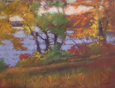 Original Impressionism Landscape Drawings by Larry DAmico