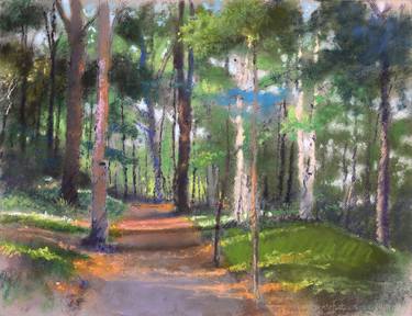 Original Impressionism Landscape Drawings by Larry DAmico
