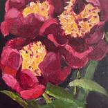 Peony (small) by Michele Riche