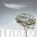 Inmensidad Singular - Limited Edition 1 of 5 by Camilo Carvallo