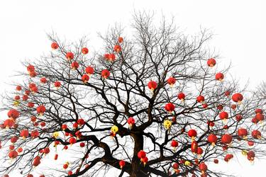 Original Street Art Tree Photography by Ivan Svatos