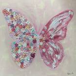 Collection BUTTERFLY