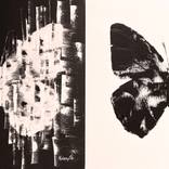 Collection BUTTERFLY