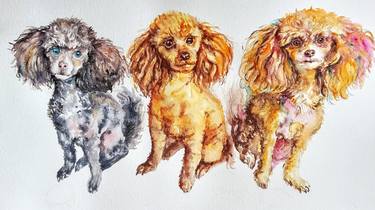 Three toy poodles dog pet art thumb
