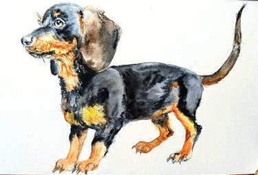 Original Dogs Painting by Daniela Vasileva