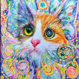 Cat with very pink nose and kaleidoscope whiskers by Daniela Vasileva