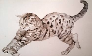 Original Realism Cats Paintings by Daniela Vasileva
