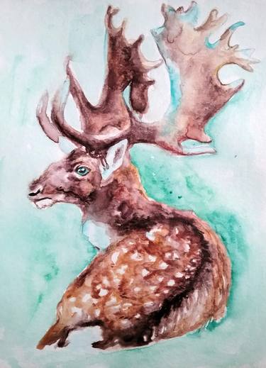 Original Animal Paintings by Daniela Vasileva