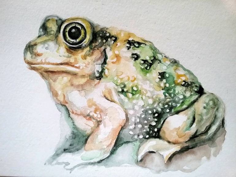 Frog Painting by Daniela Vasileva Saatchi Art