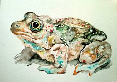 Original Animal Paintings by Daniela Vasileva