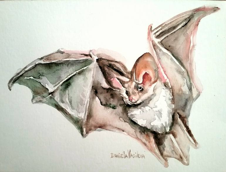 flying bat drawings