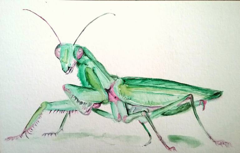 Praying mantis green critter Painting by Daniela Vasileva