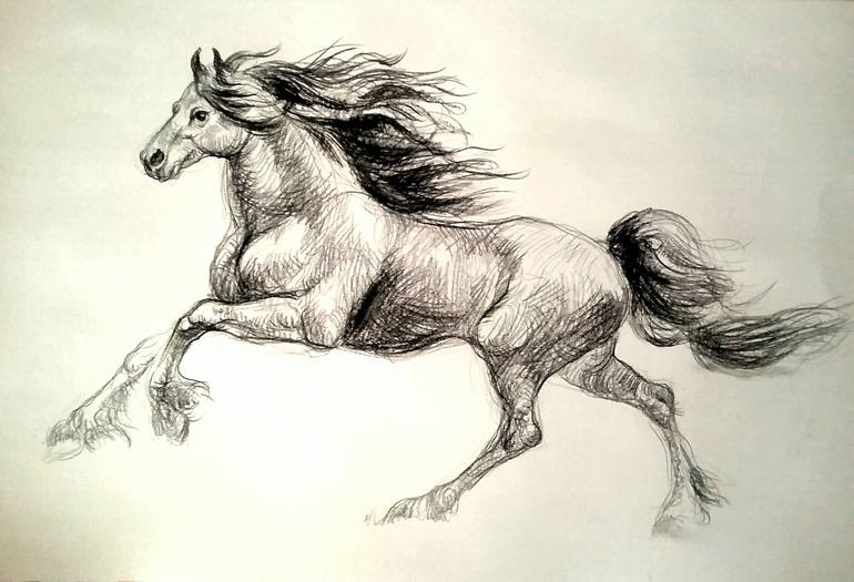 black stallion drawing