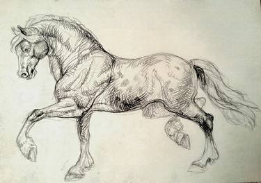 Print of Realism Horse Drawings by Daniela Vasileva
