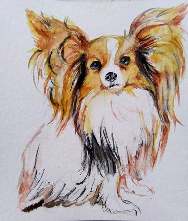 Papillon puppy thumb