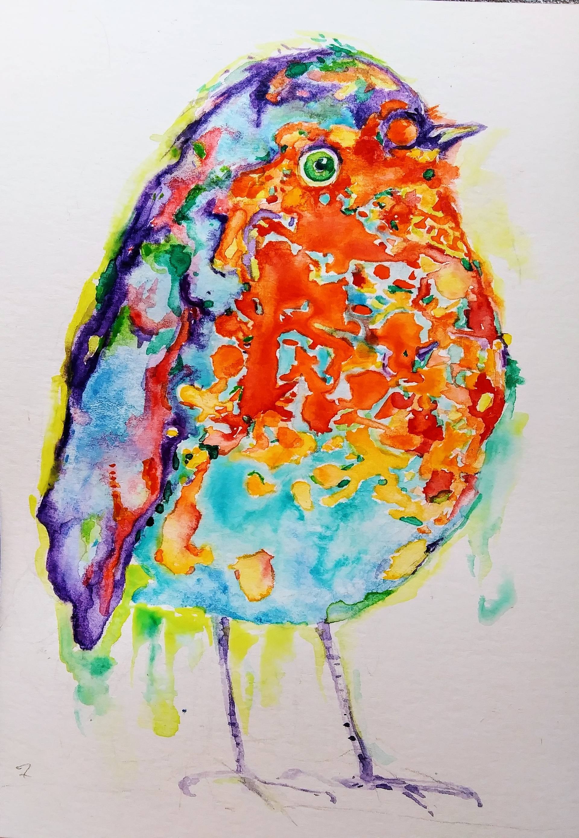 fantastic nature colorful bird nature colorful