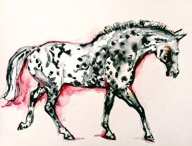 Gray appaloosa horse walking thumb