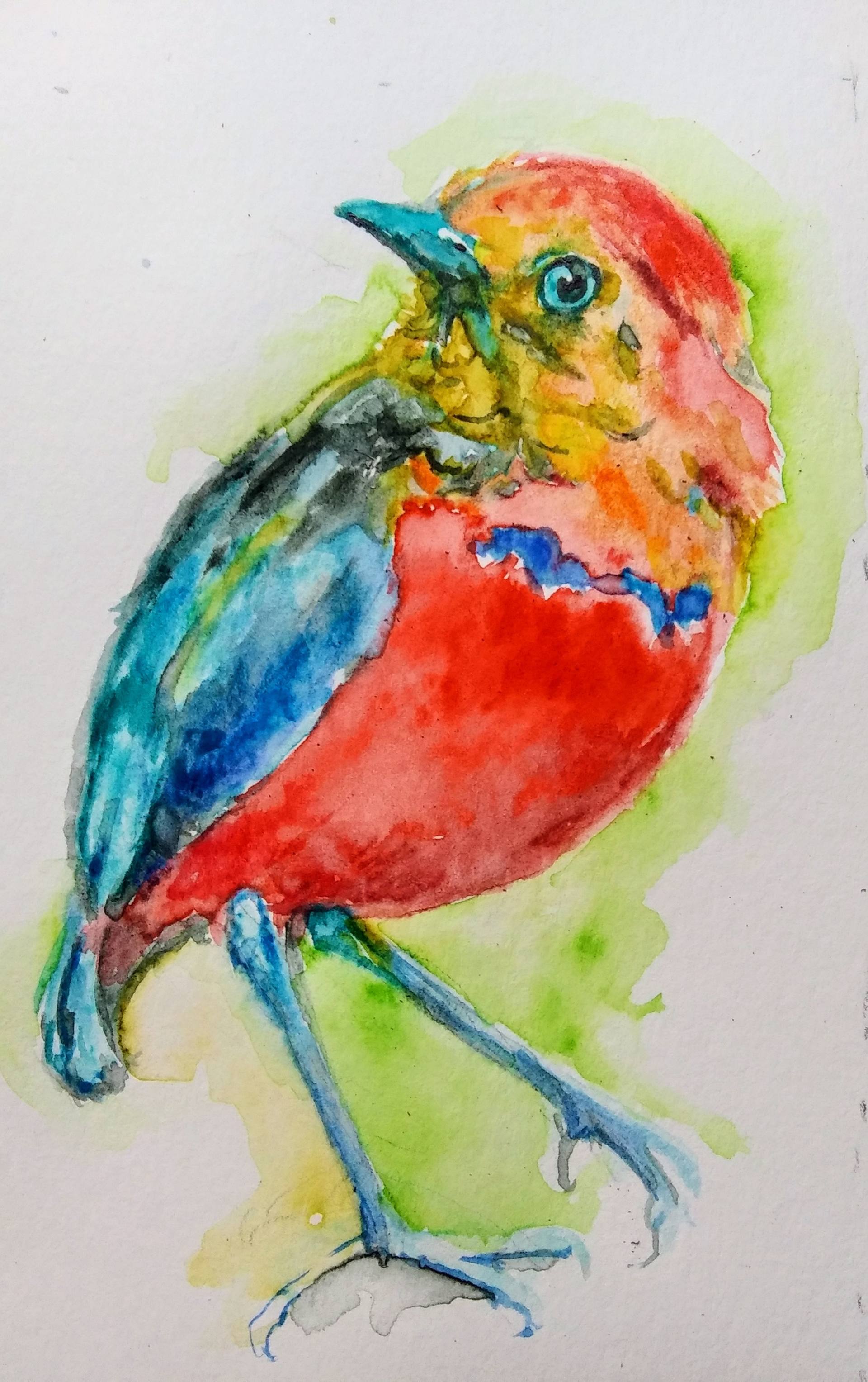 bremse øverste hak region Colorful bird . Nature Painting by Daniela Vasileva | Saatchi Art