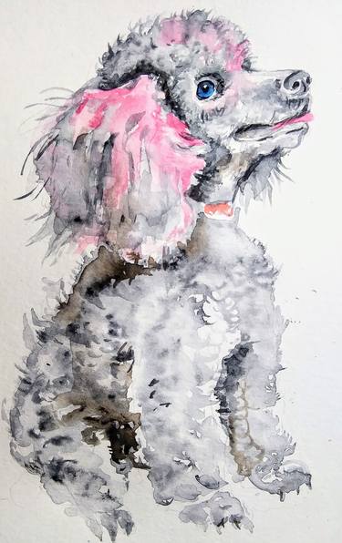 Gray pink poodle dog thumb