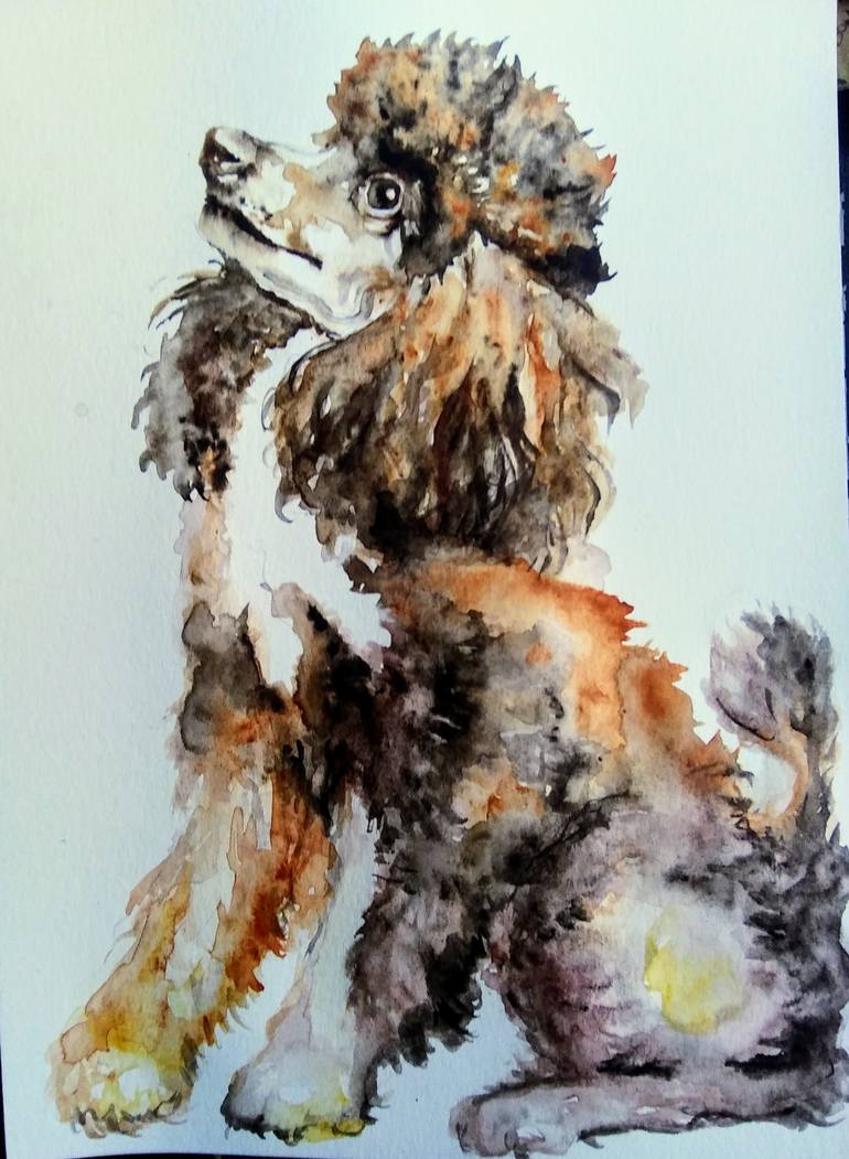 Standard Poodle Painting By Daniela Vasileva Saatchi Art