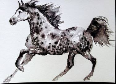 Print of Fine Art Horse Paintings by Daniela Vasileva