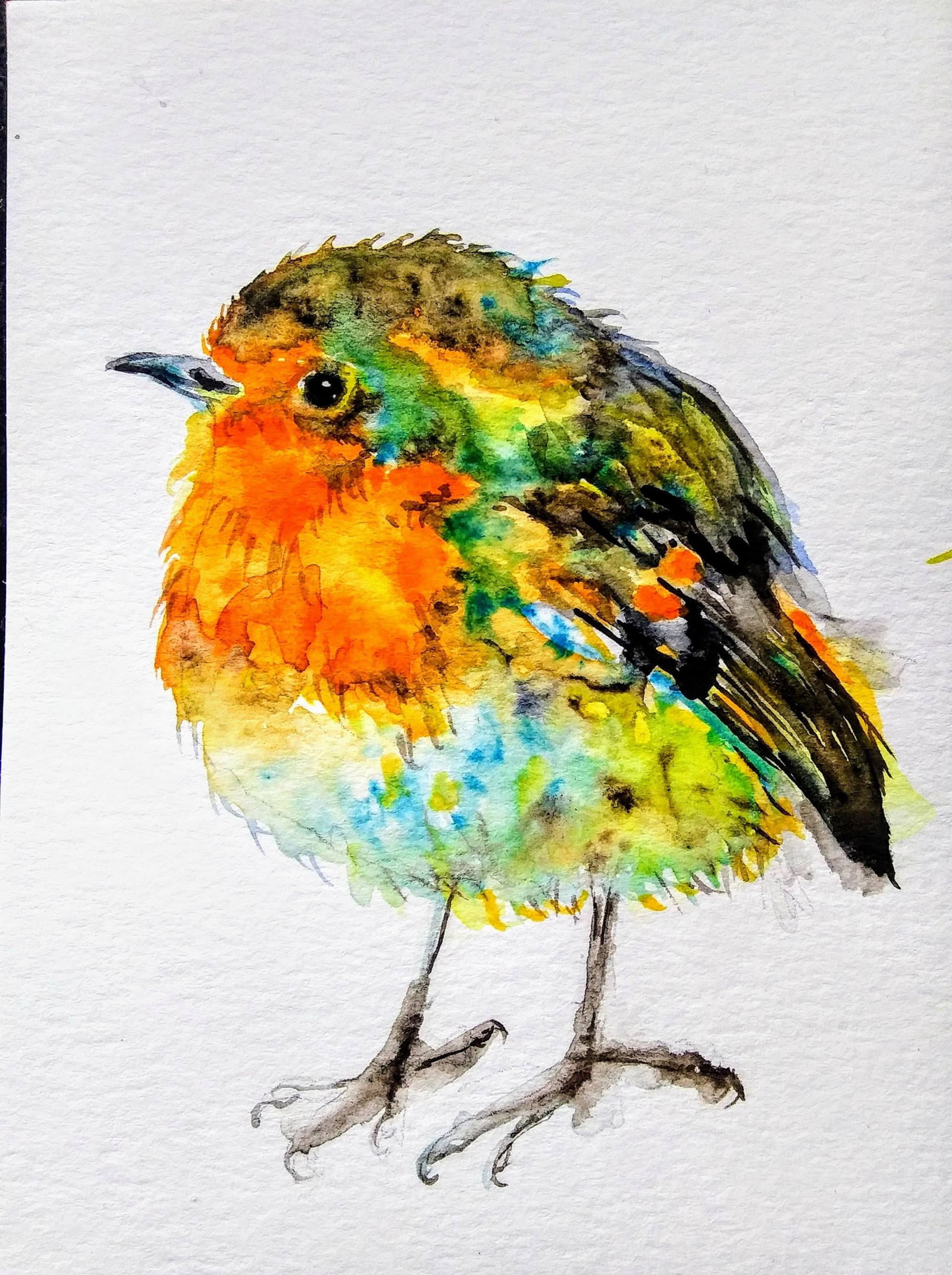 Download Christmas Robin Painting By Daniela Vasileva Saatchi Art PSD Mockup Templates